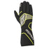 AUTO TECH-1 RACE V2 GLOVES